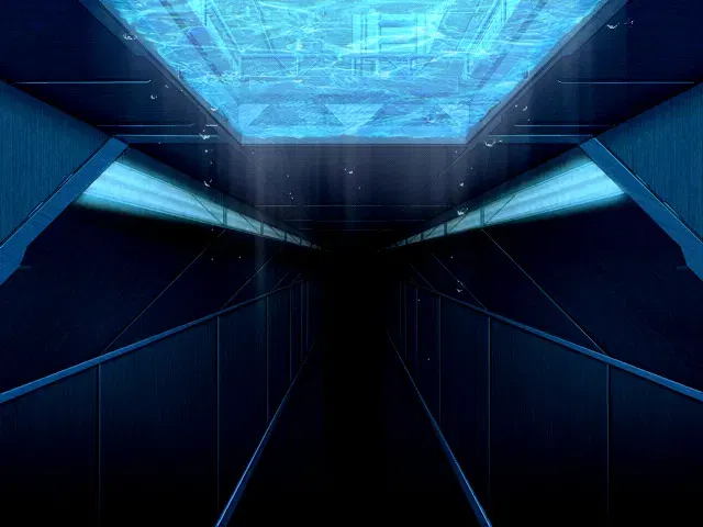 Image #345