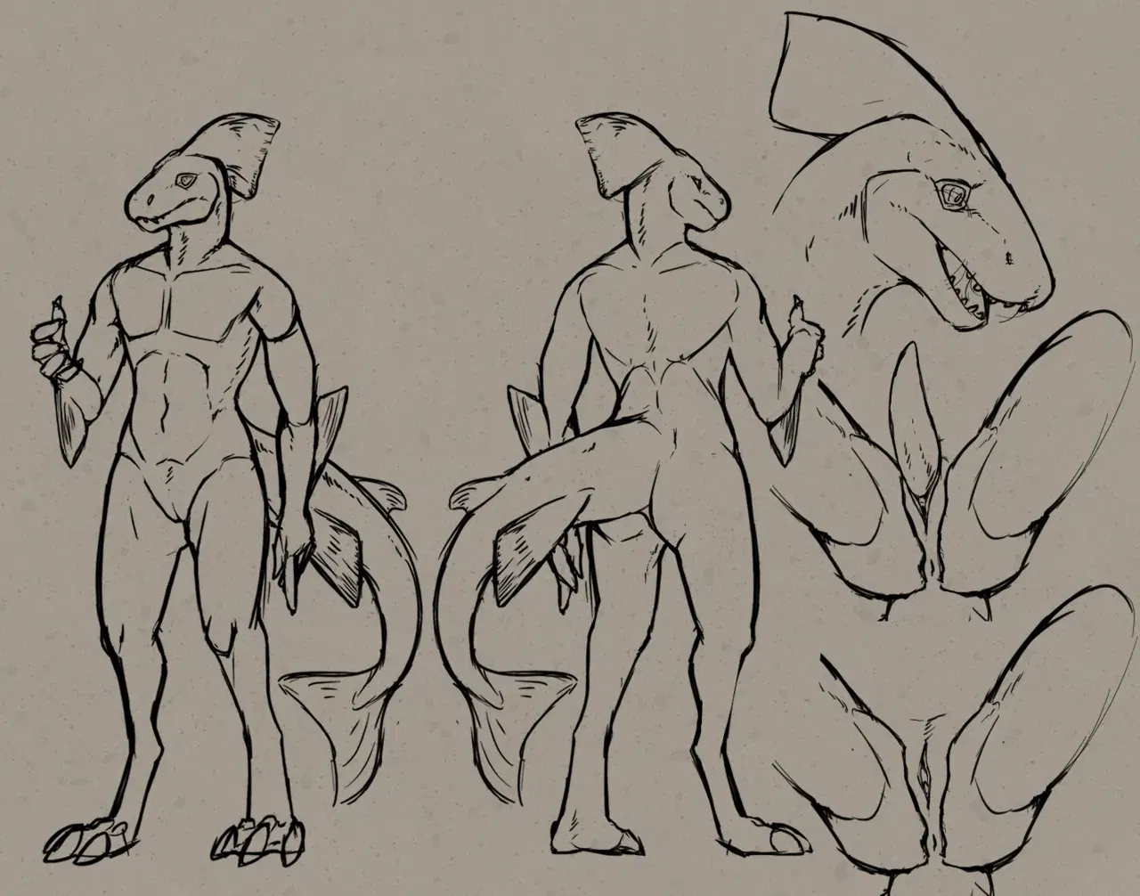 Image #512