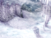 Image #182