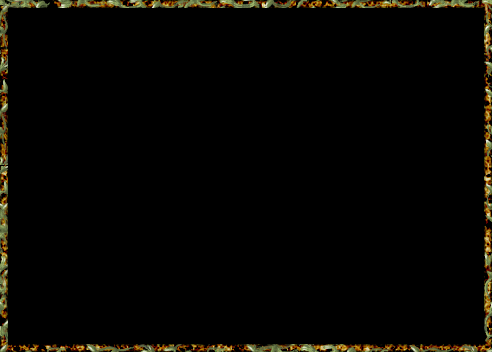 Image #200