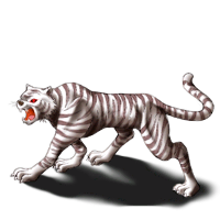 Image #302