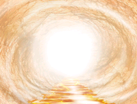 Image #449
