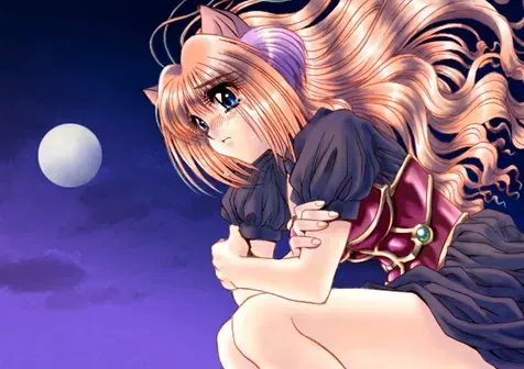 Image #707