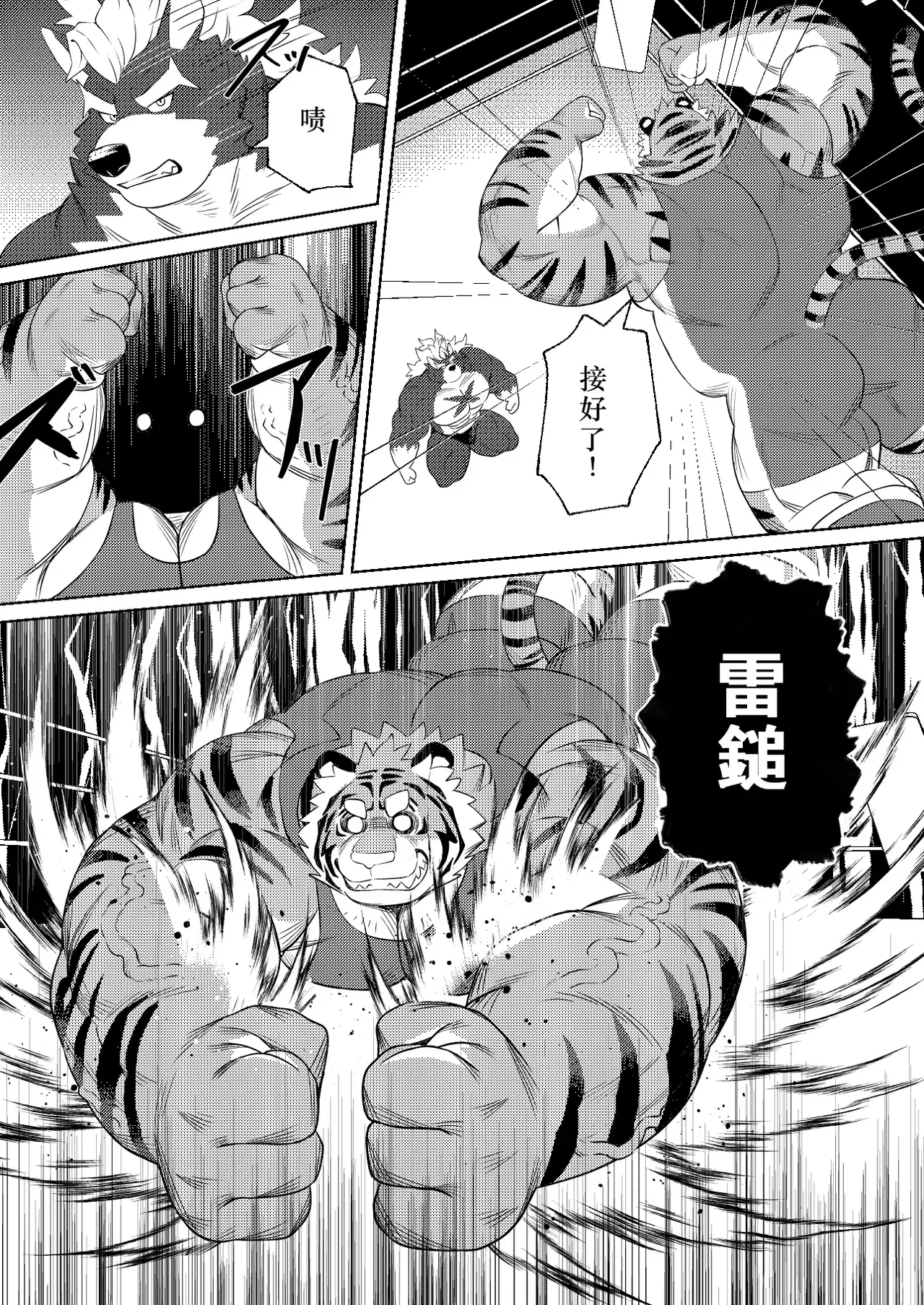 Image #11