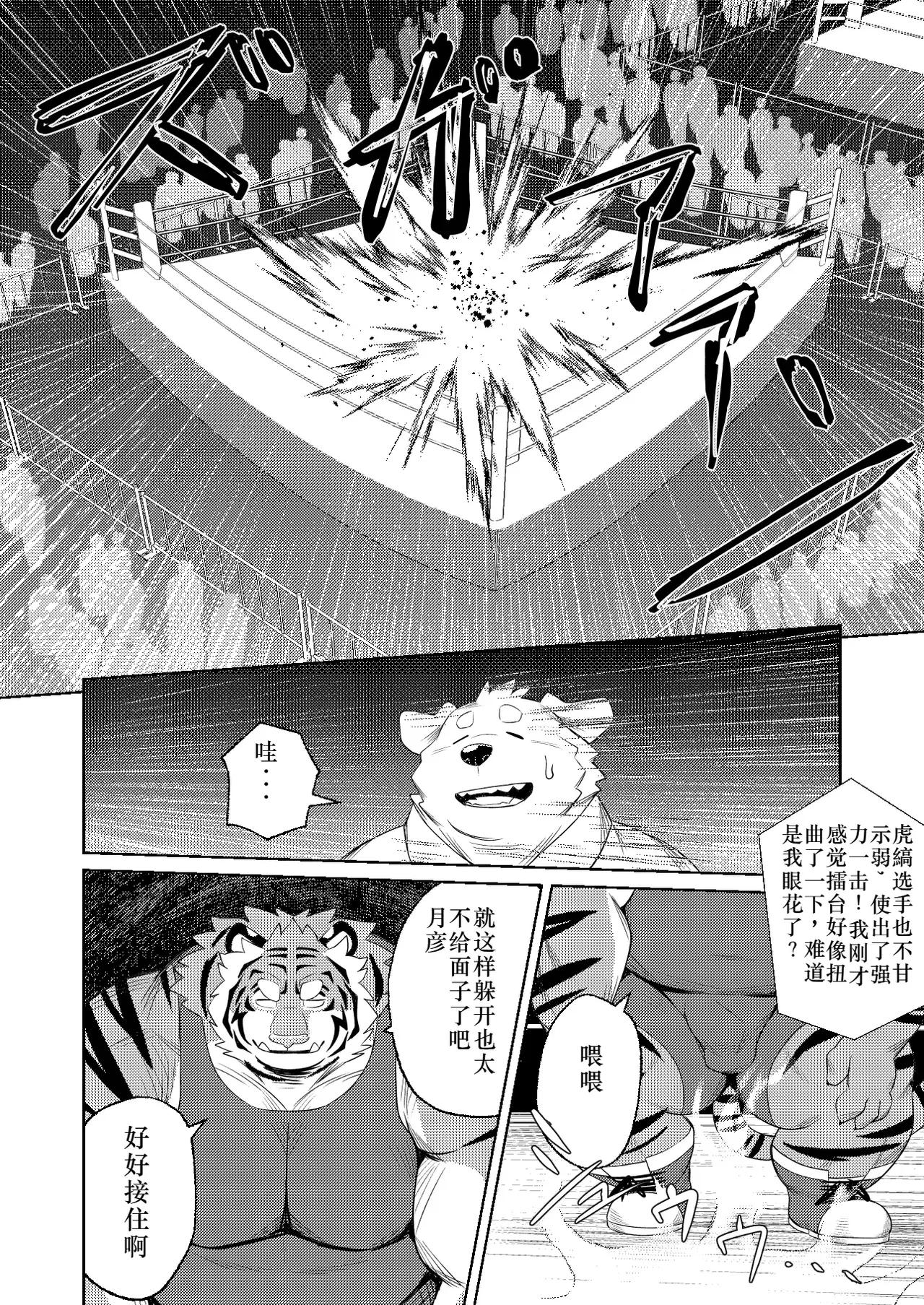 Image #12