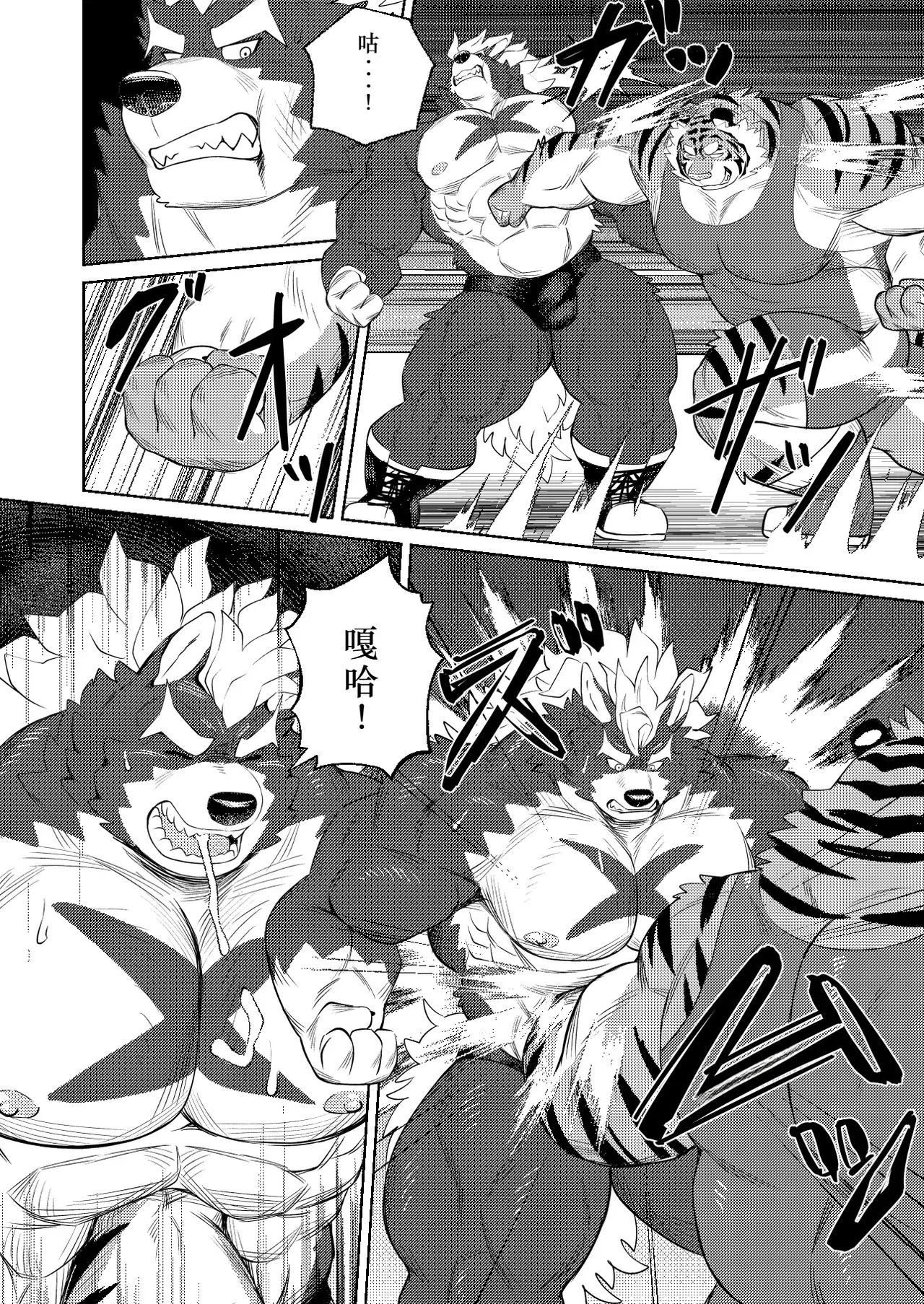 Image #14