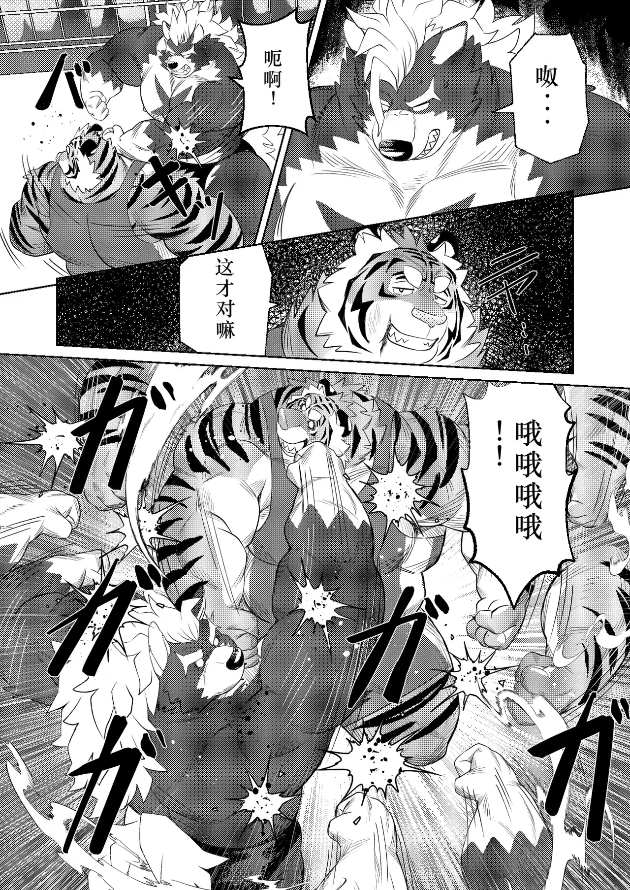 Image #15