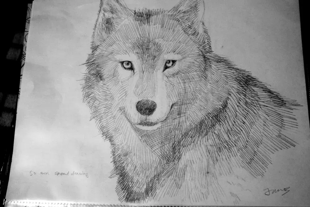 Image #754