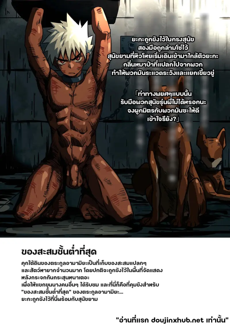 Image #6