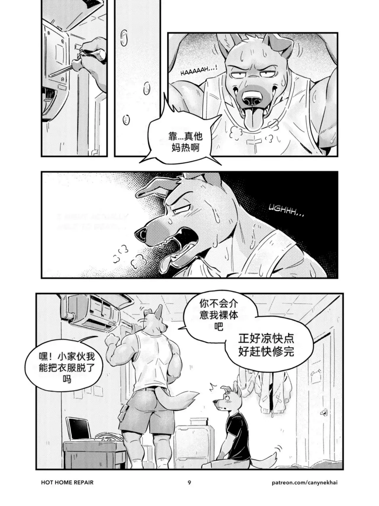 Image #11