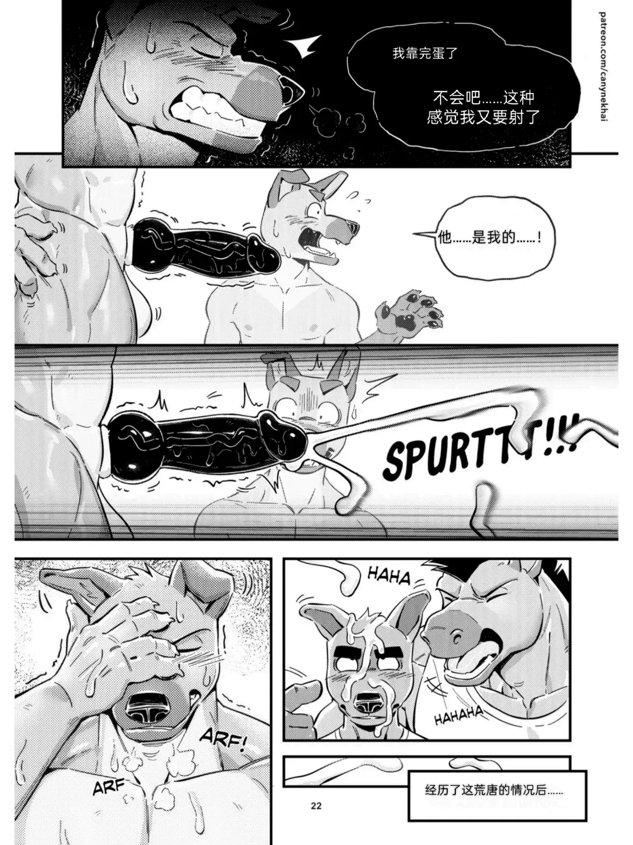 Image #24