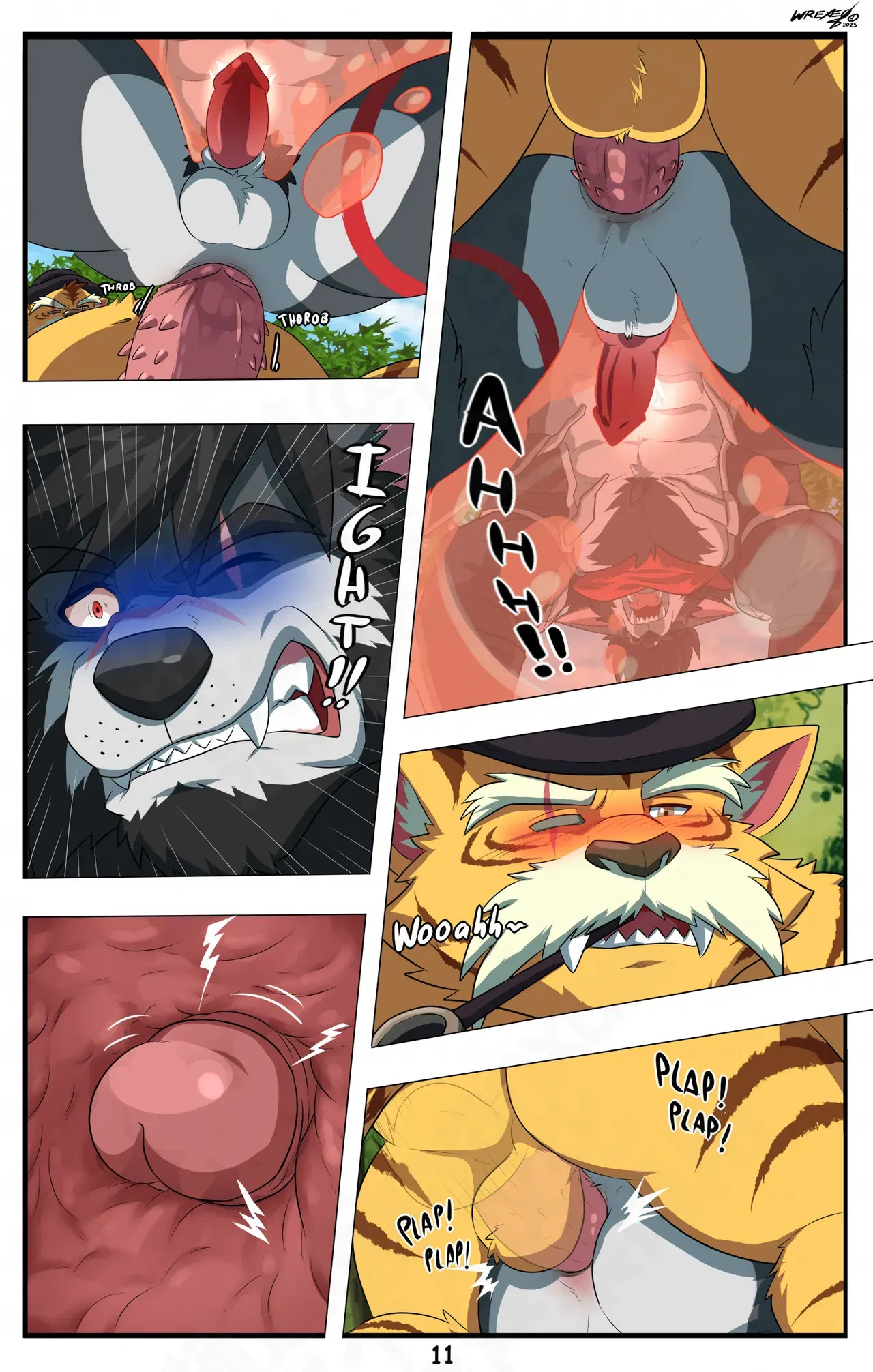 Image #12