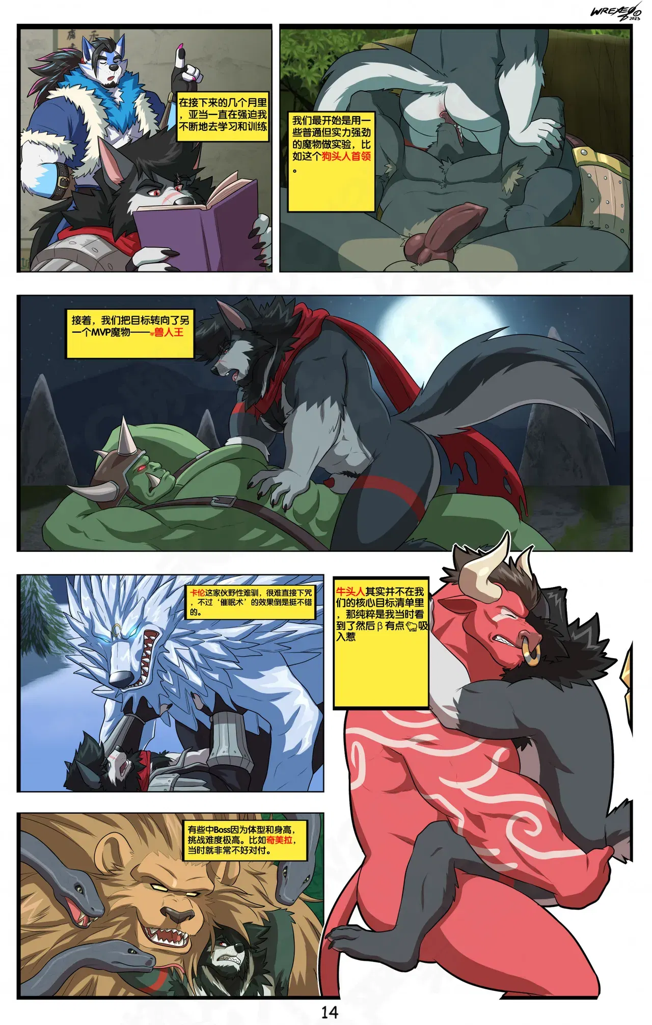 Image #15