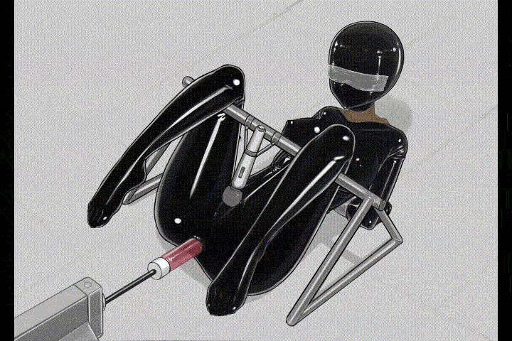 Image #447