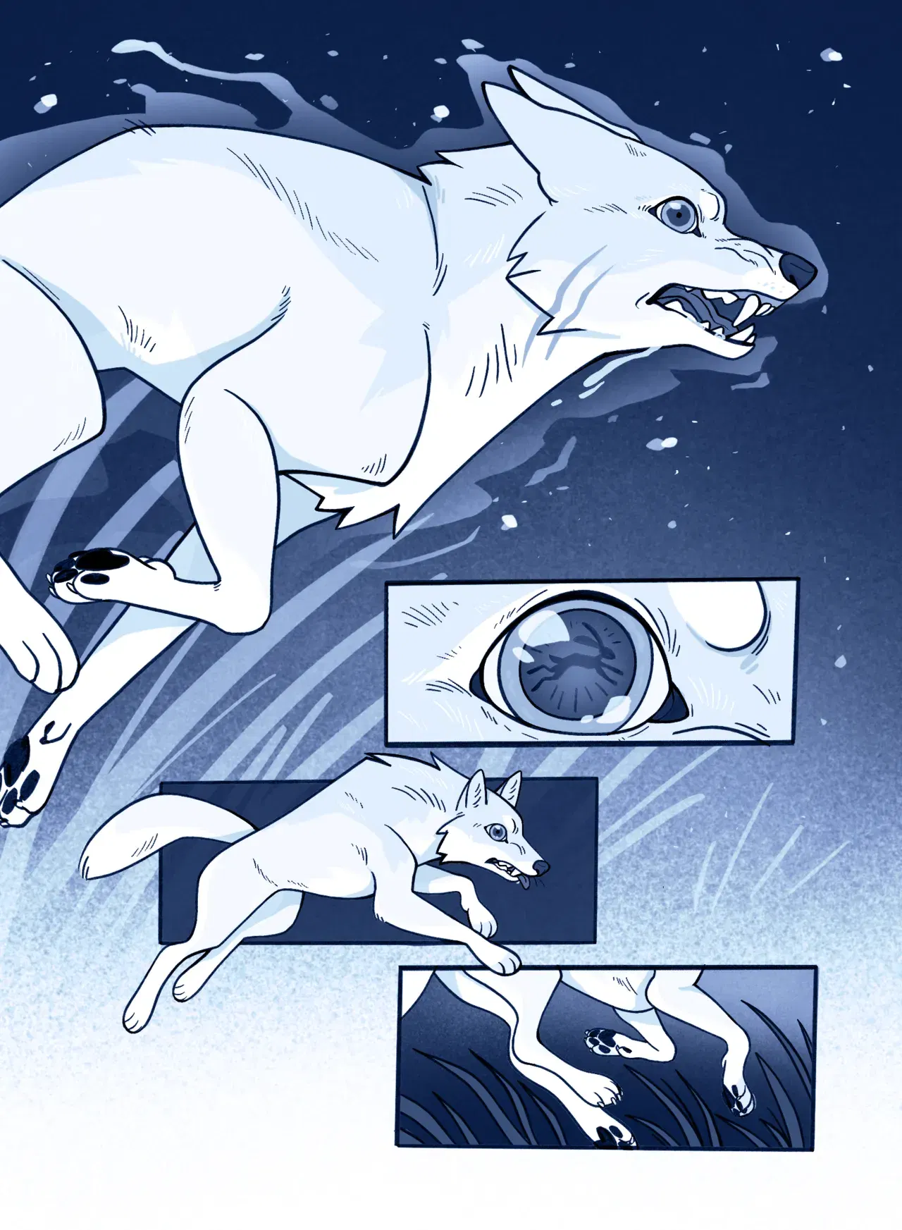 Image #5