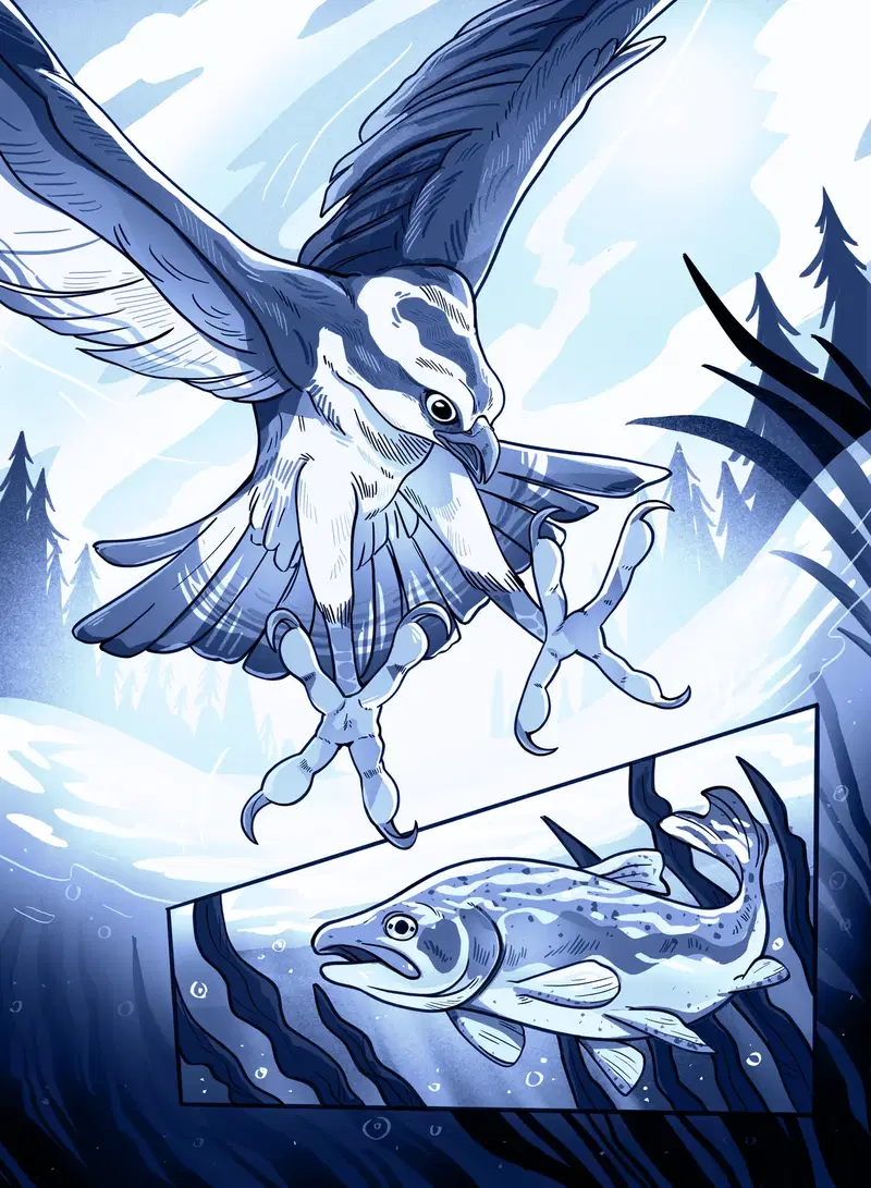 Image #56