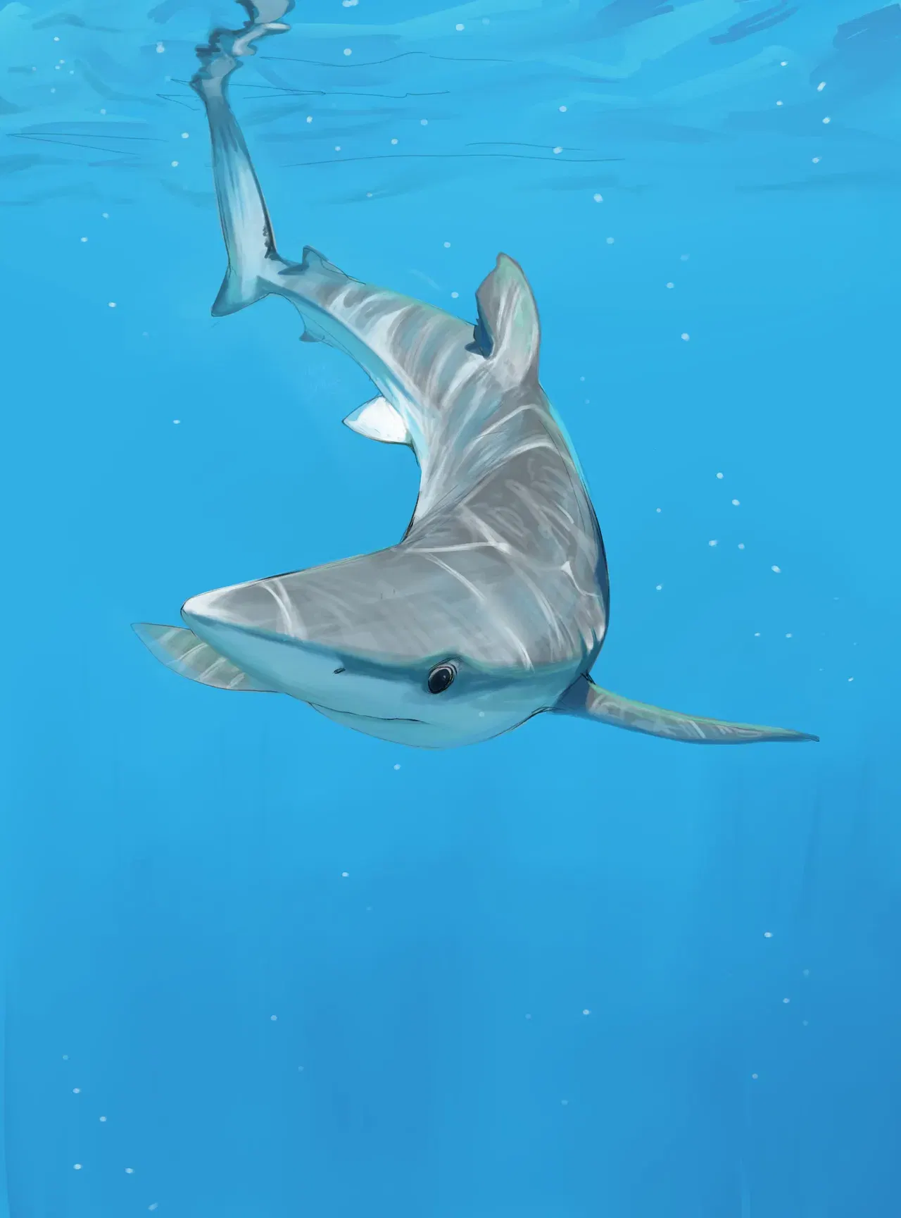 Image #332