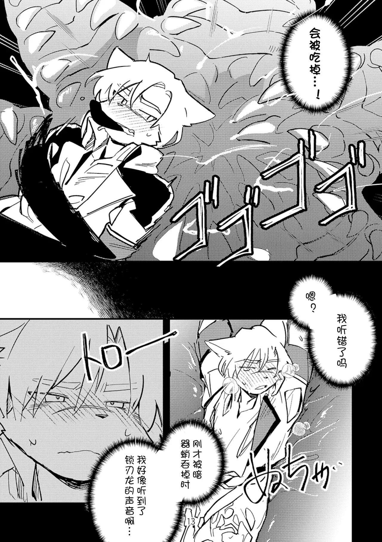 Image #13