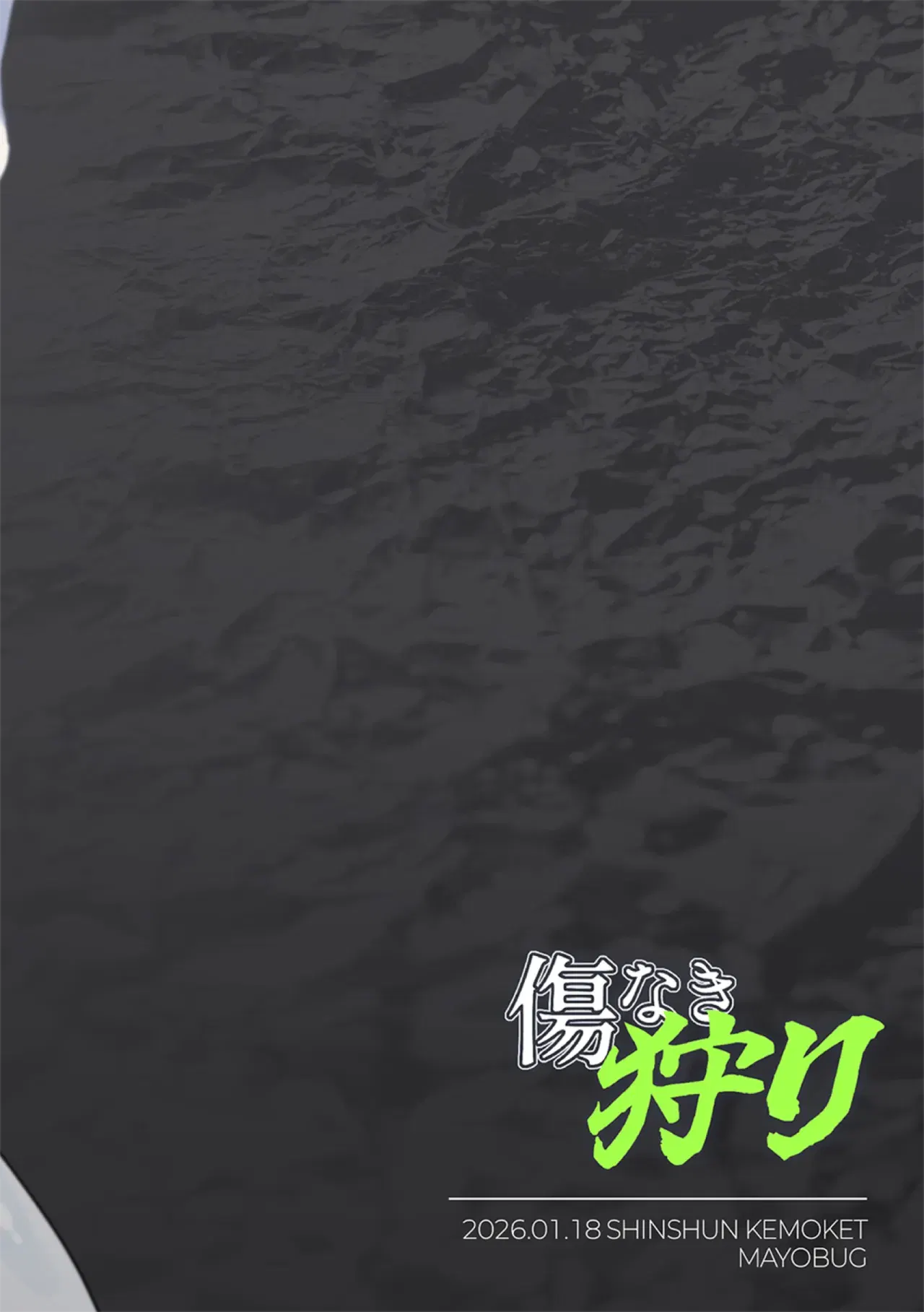 Image #22