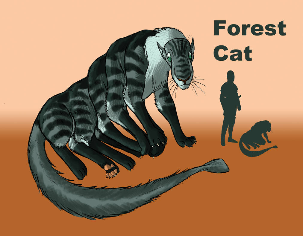Image #29
