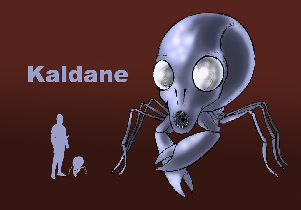 Image #41