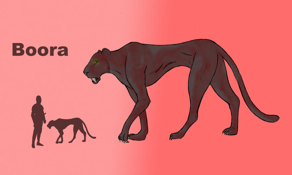 Image #46