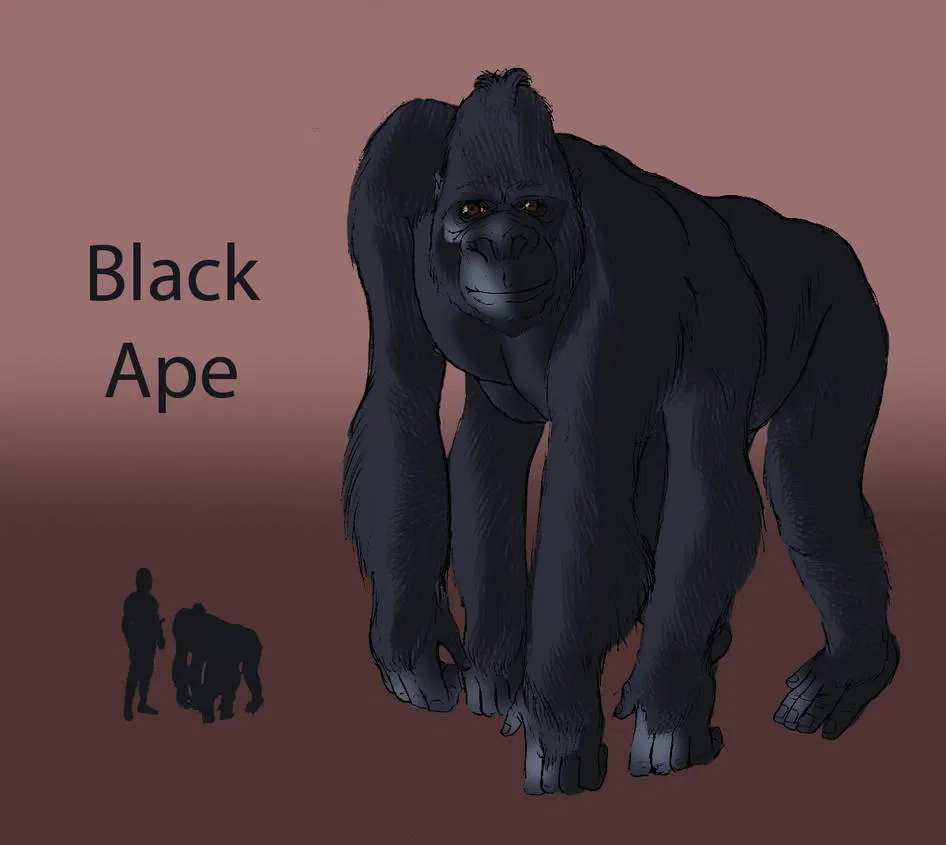 Image #52