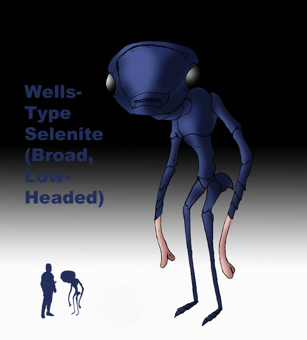 Image #83