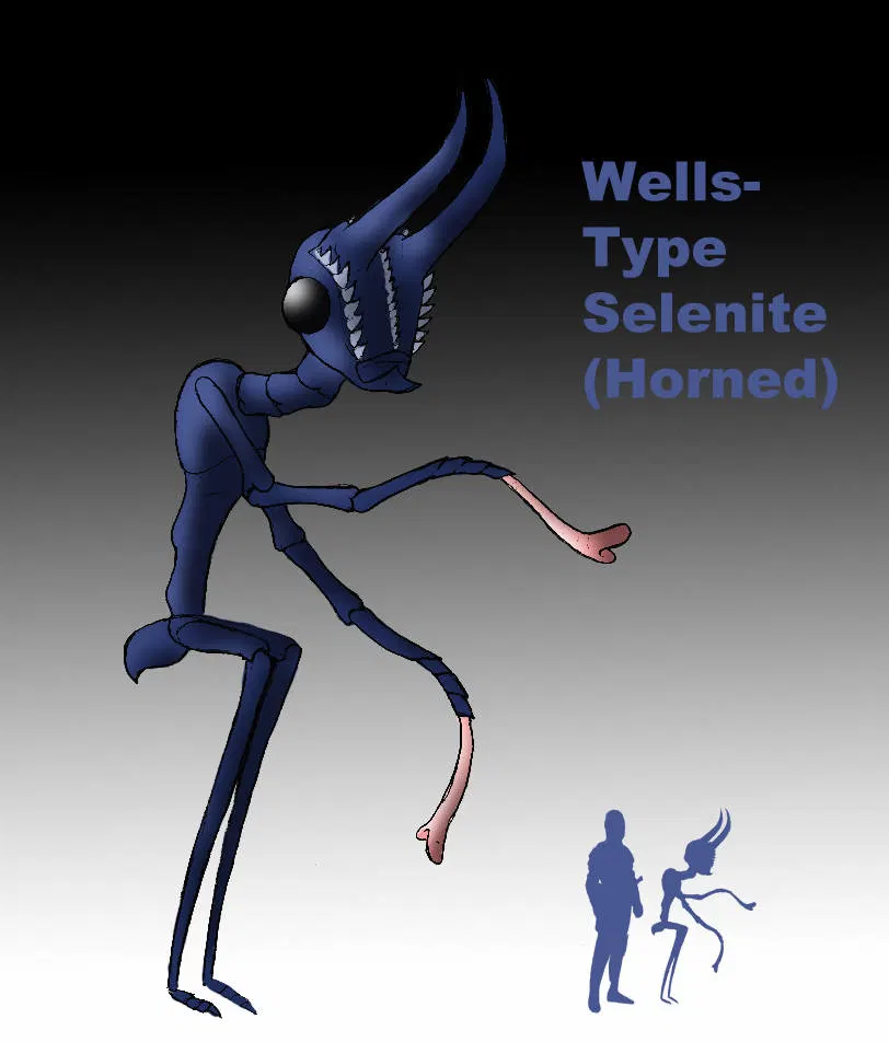 Image #88