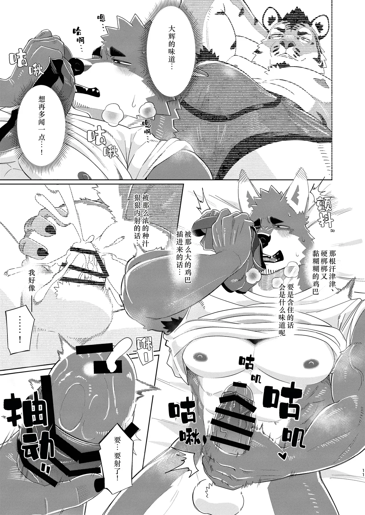 Image #11