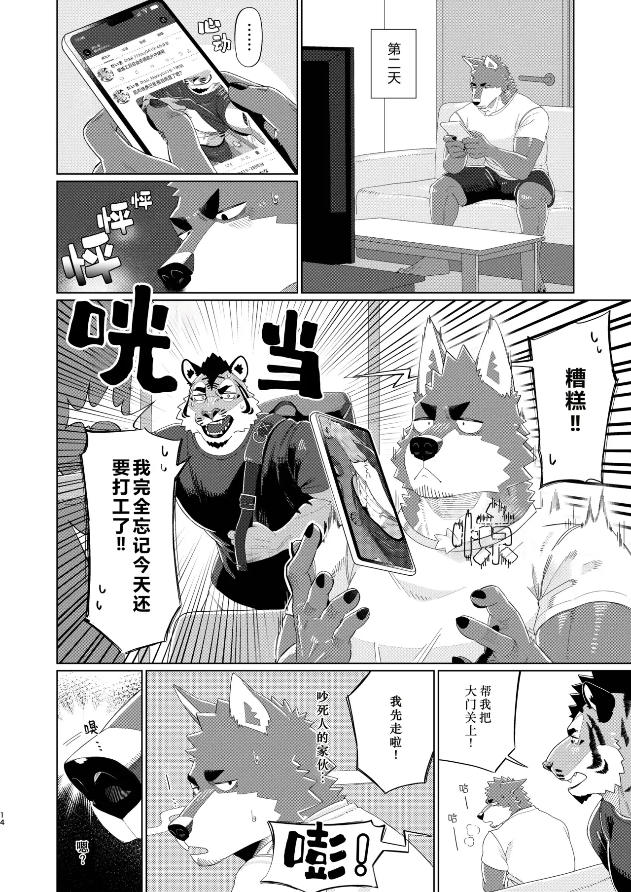 Image #14