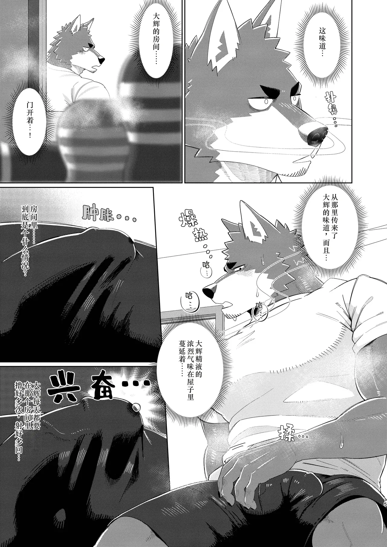 Image #15