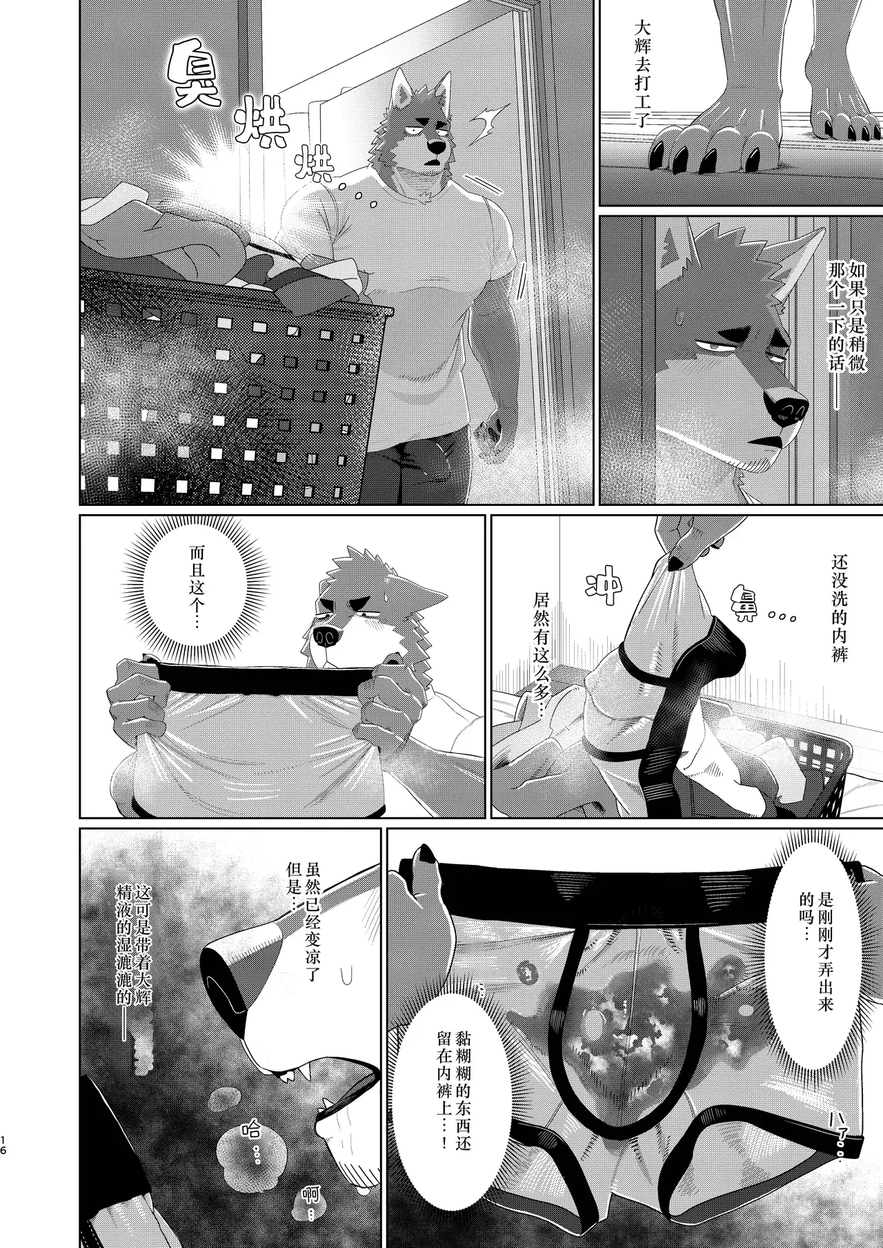 Image #16