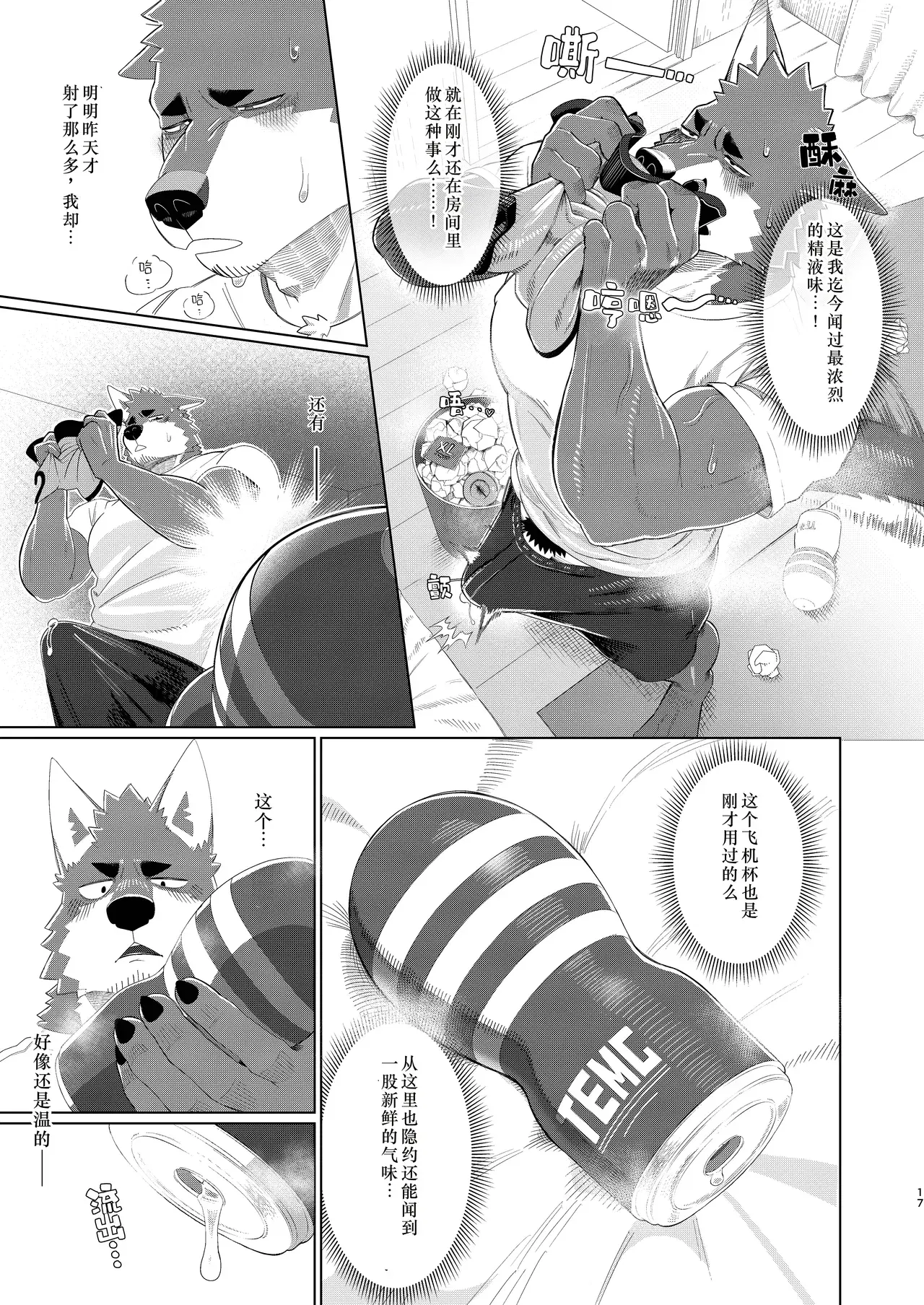 Image #17