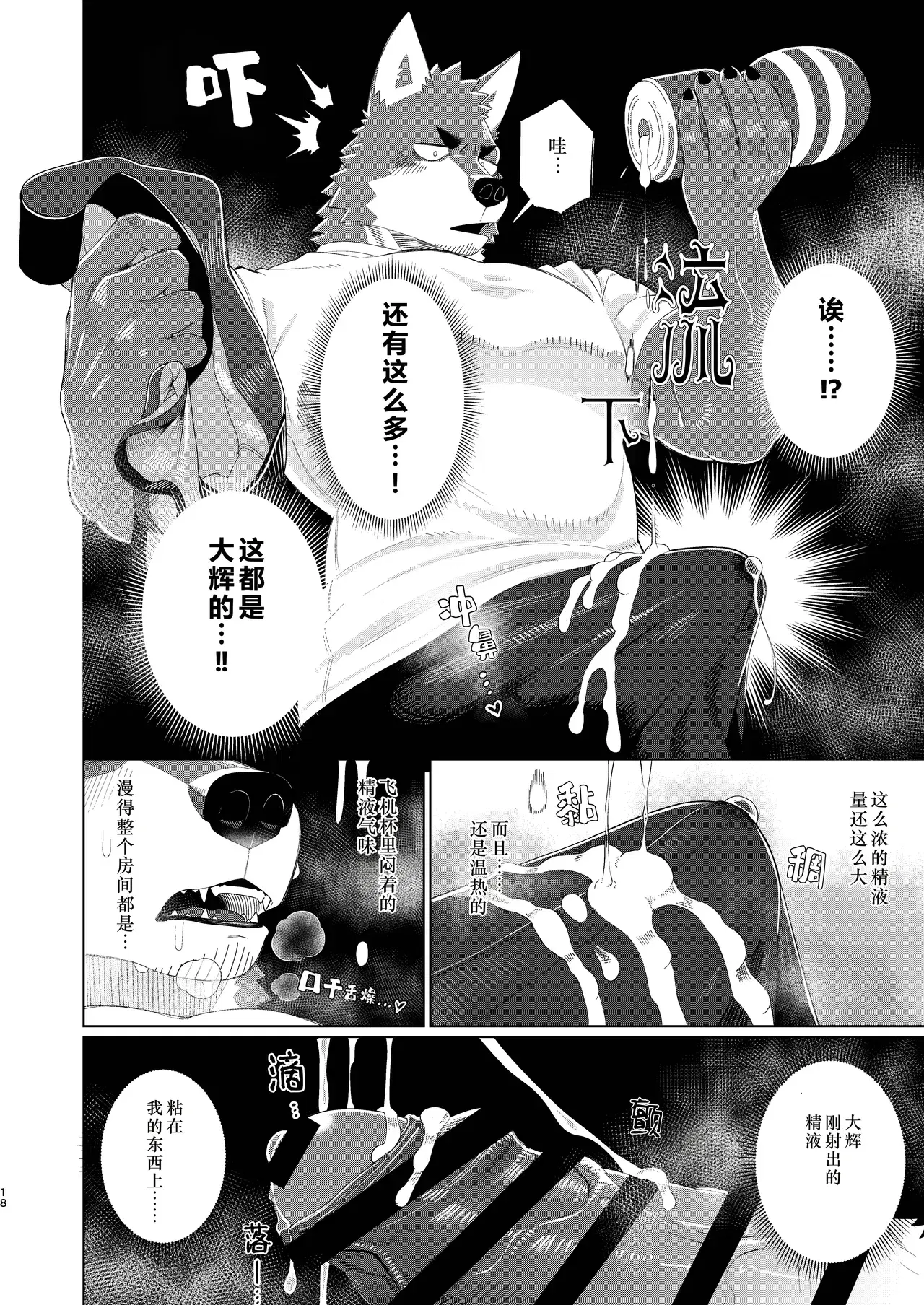 Image #18