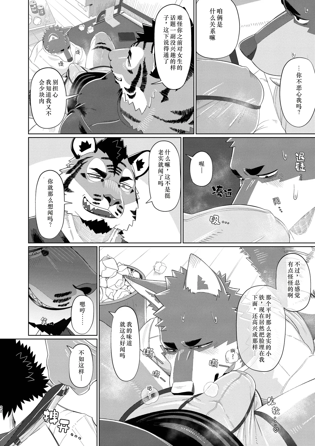 Image #22