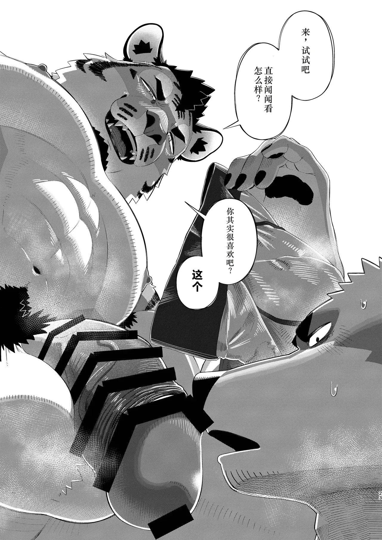 Image #23