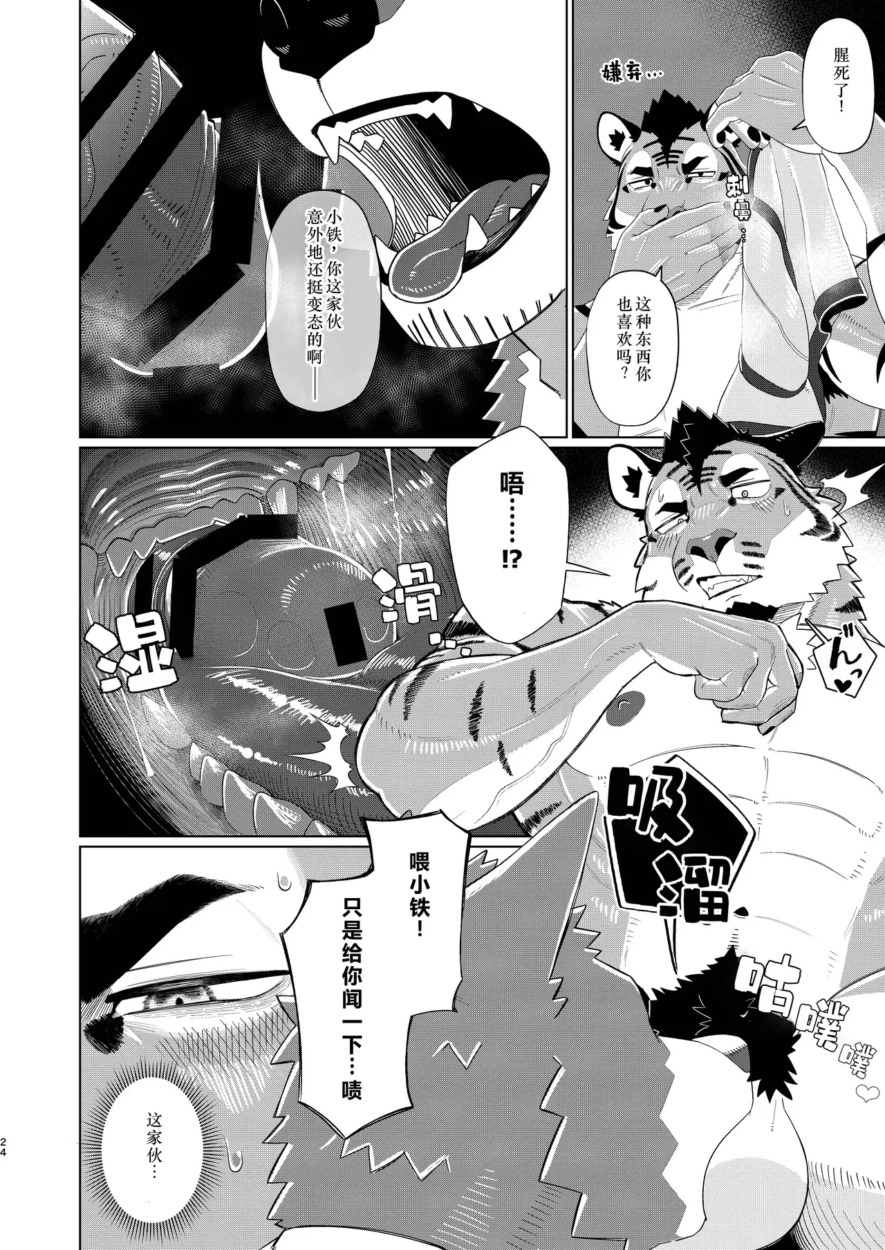 Image #24