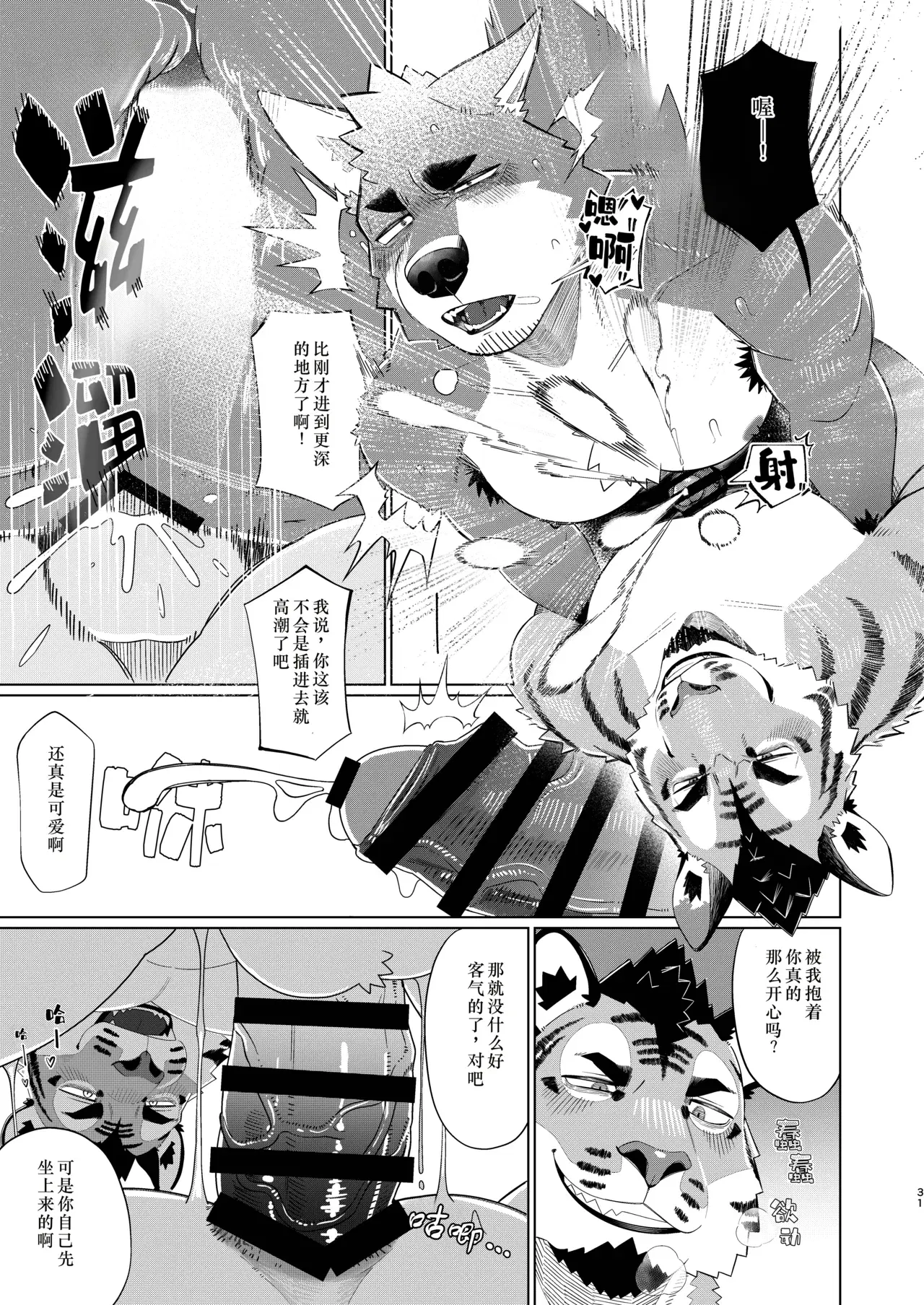 Image #31