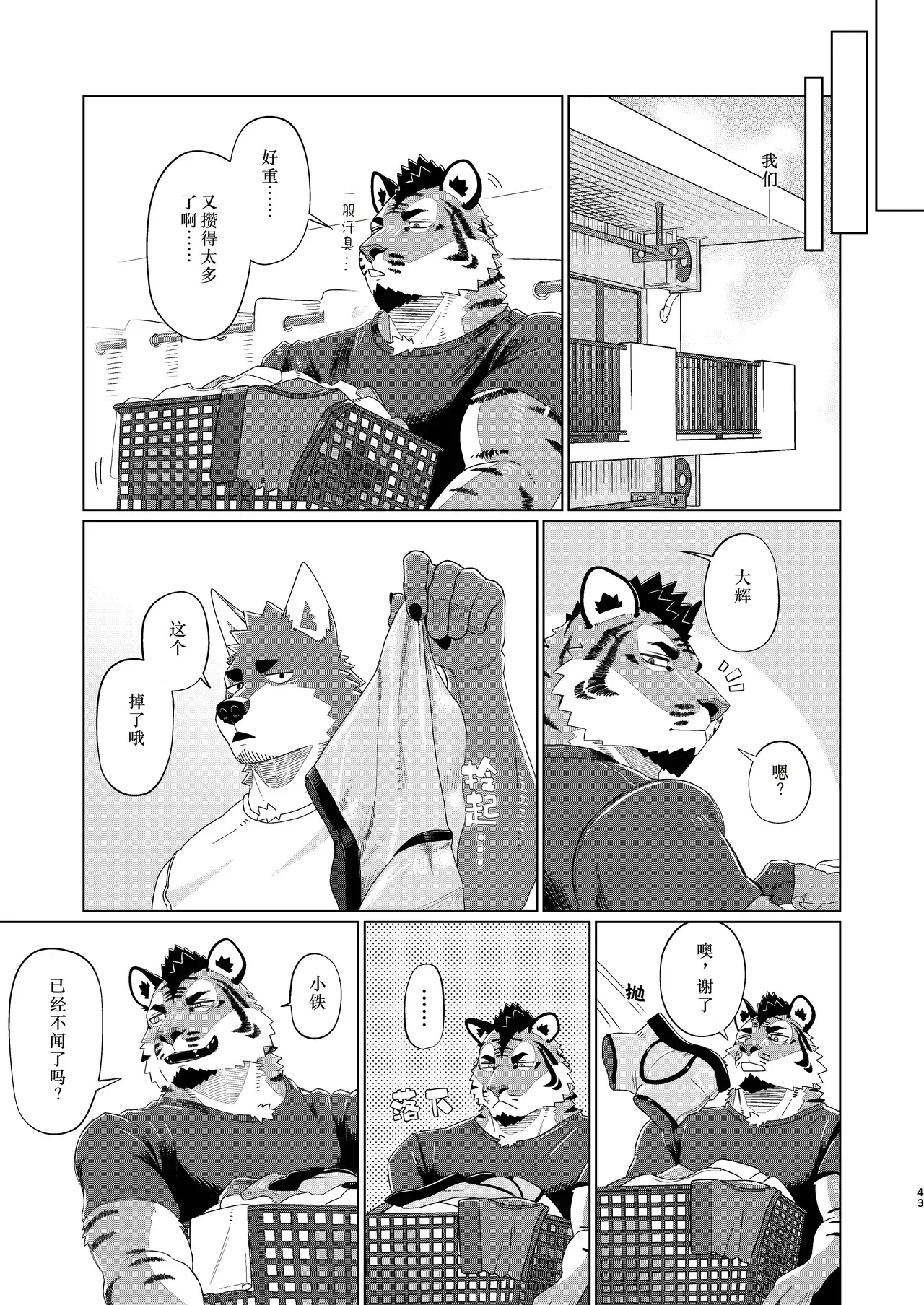 Image #43