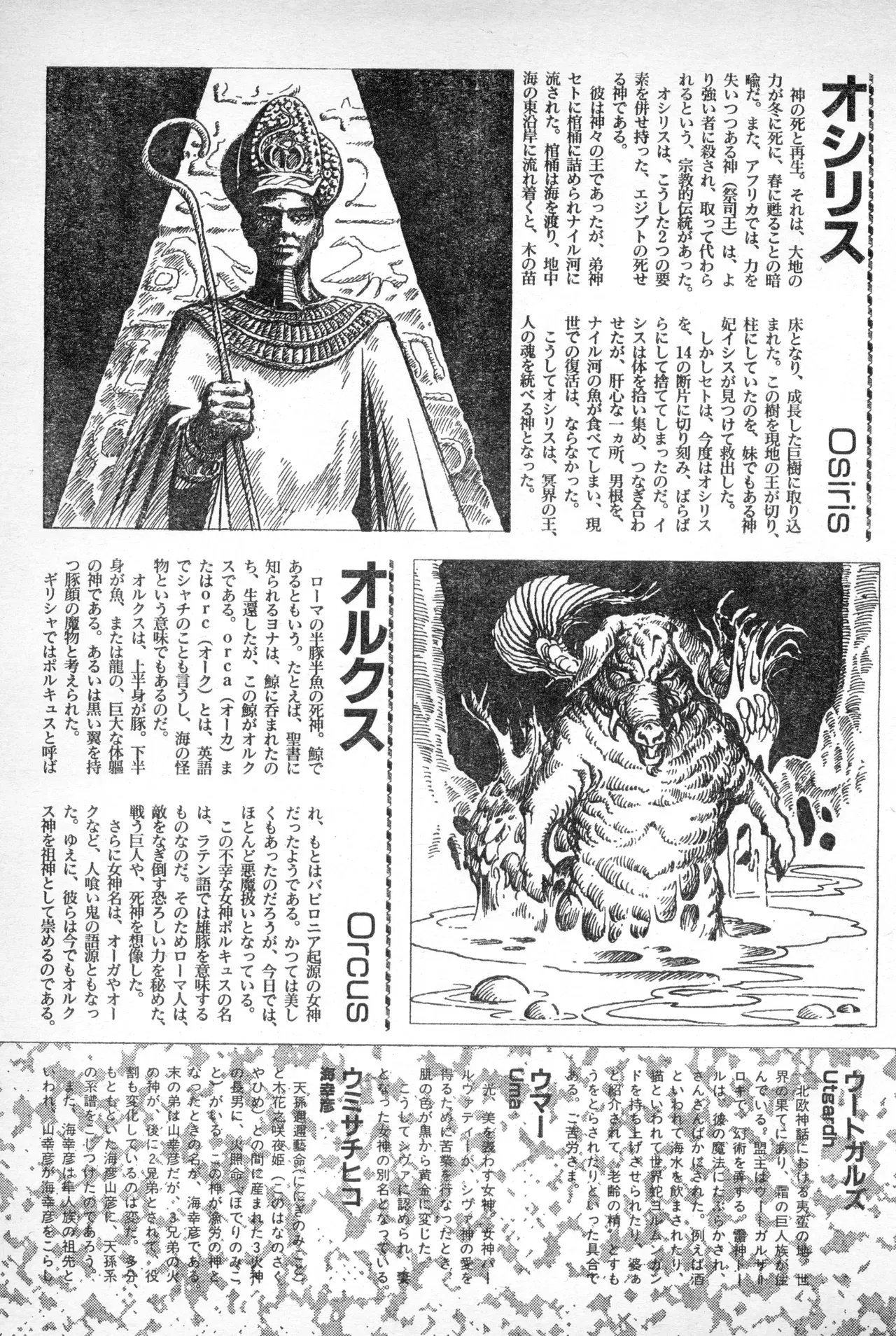 Image #302