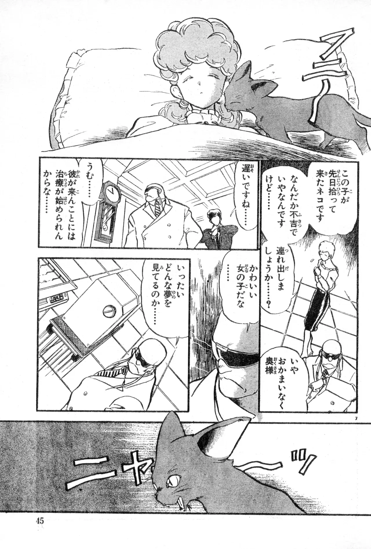 Image #45