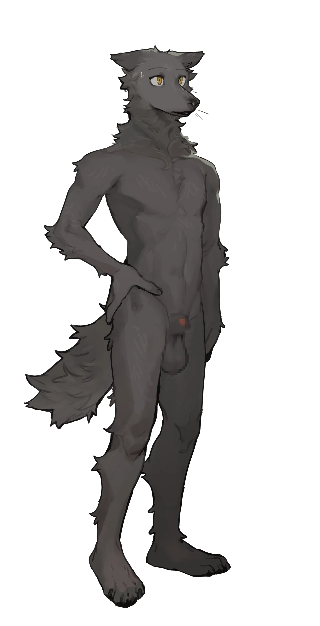 Image #155