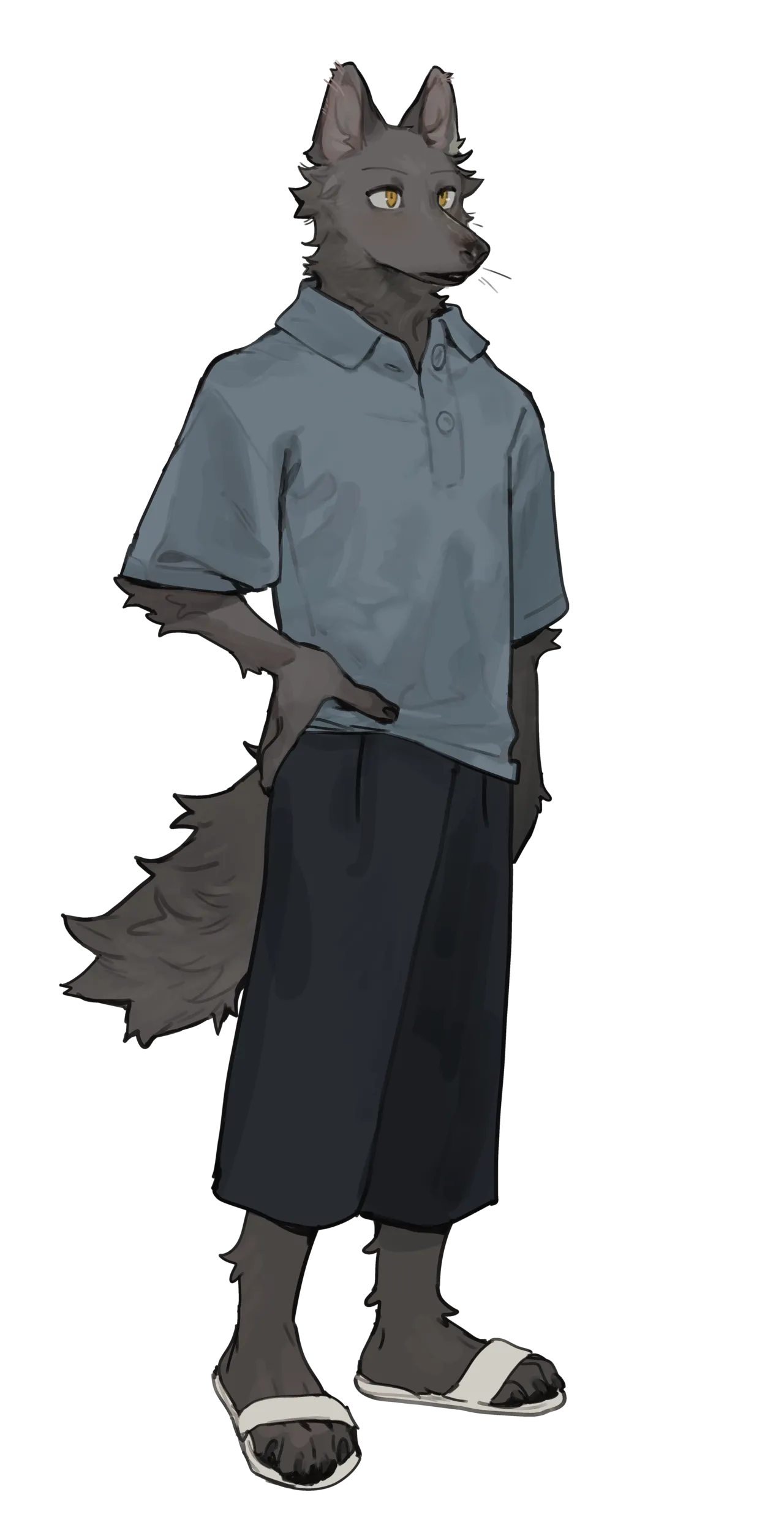 Image #71