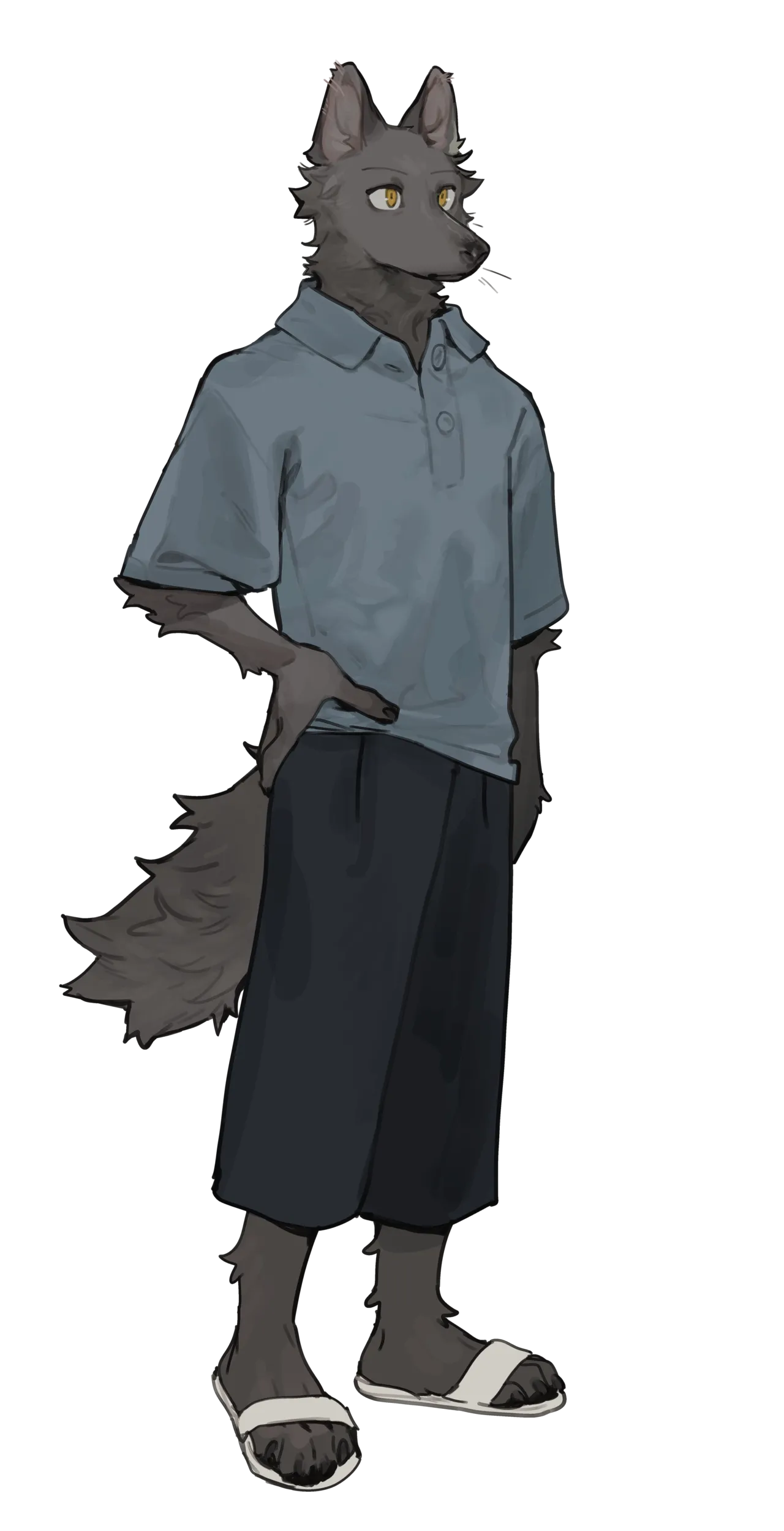 Image #73