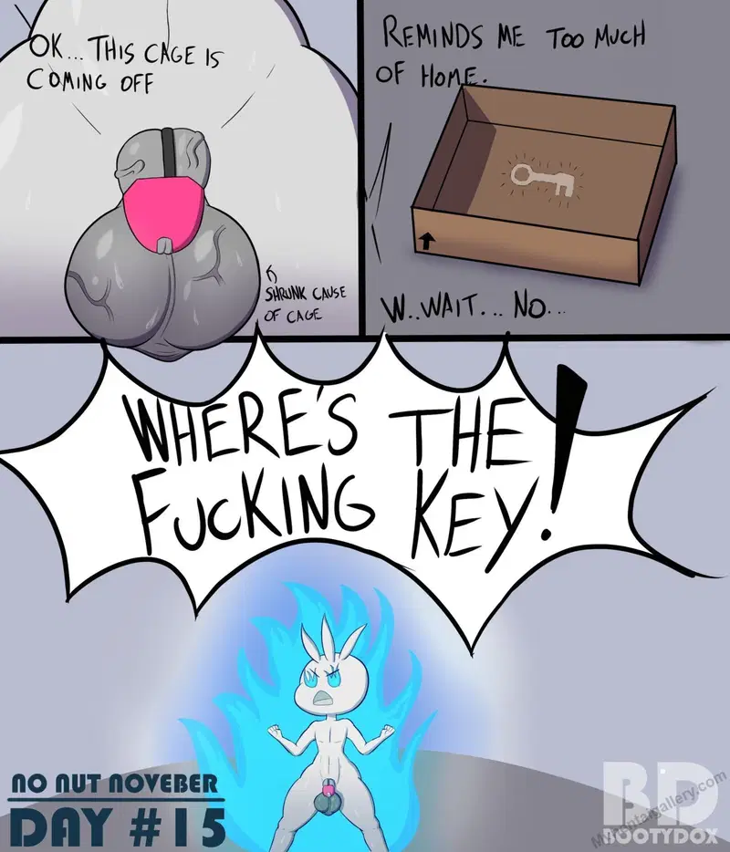 Image #15