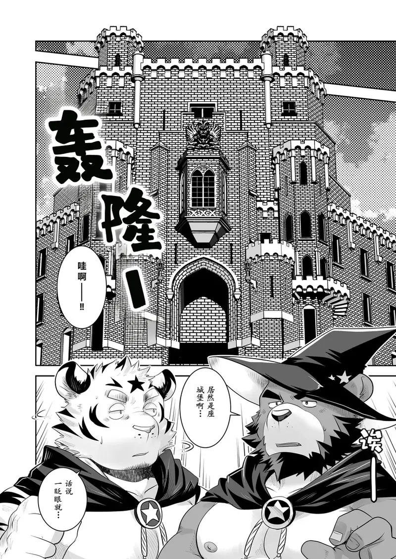 Image #12