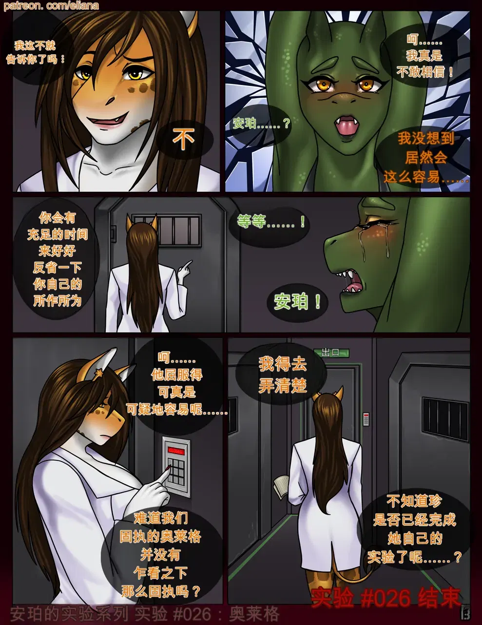 Image #14