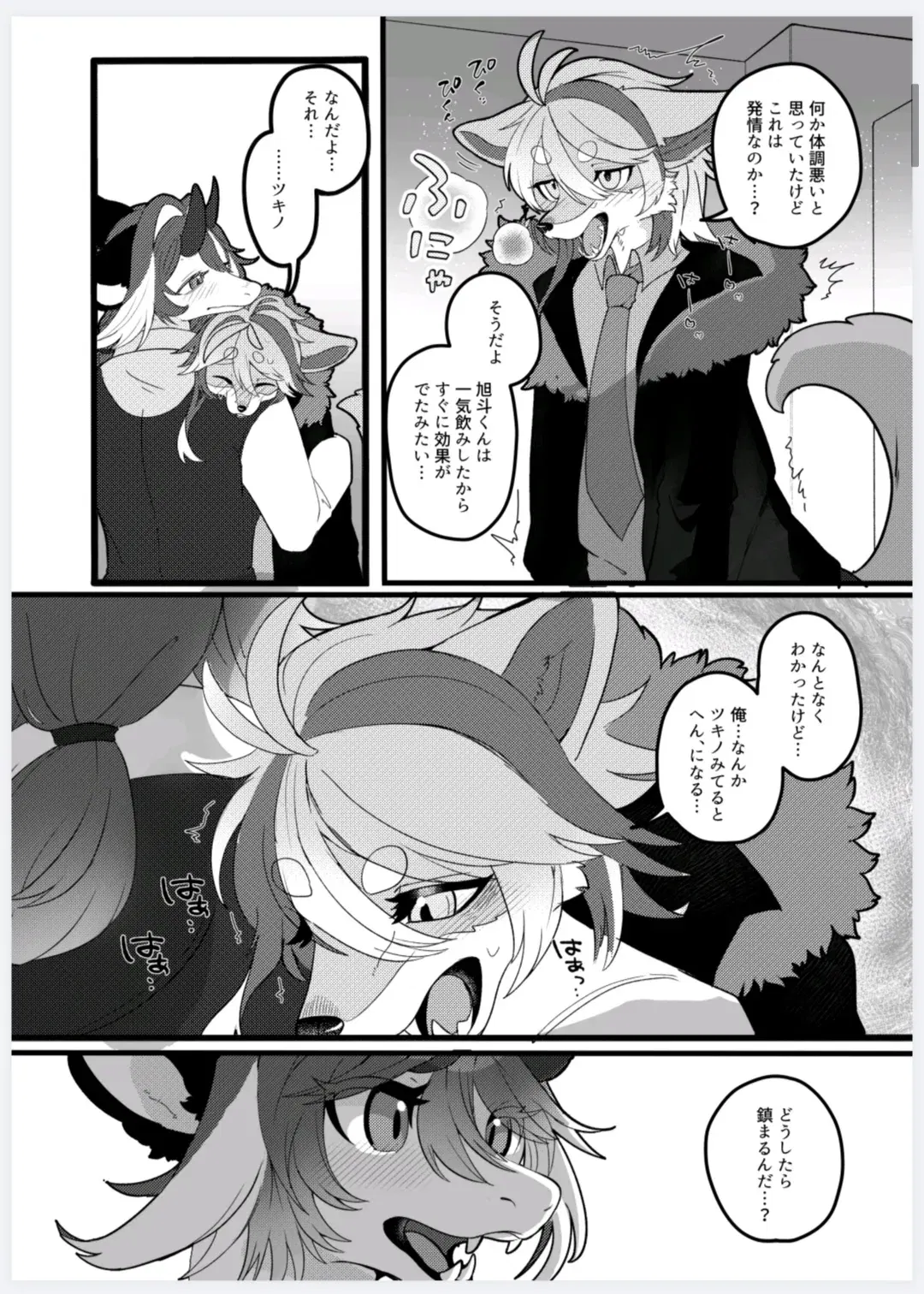 Image #11