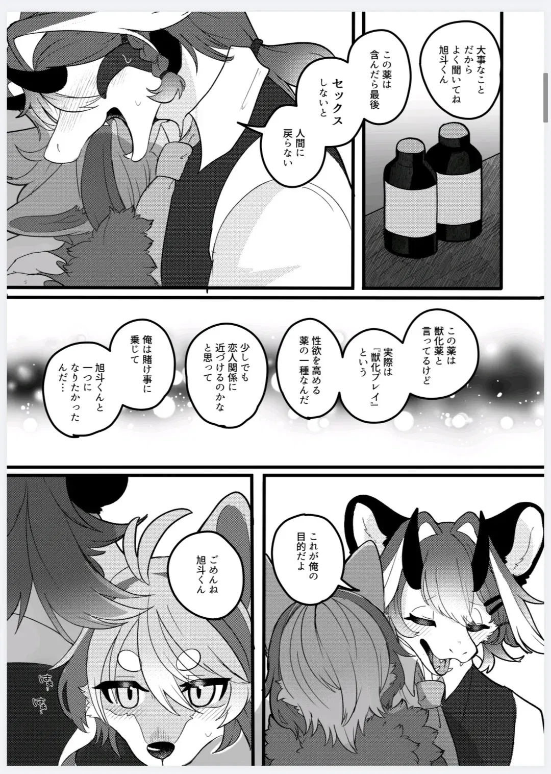Image #12